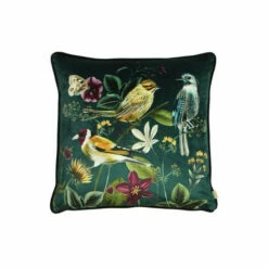 Evans Lichfield Green Multicolour Midnight Garden Birds Piped Velvet Cushion -Evans Lichfieldshop unnamed file 43