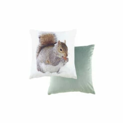 Evans Lichfieldshop -Evans Lichfieldshop unnamed file 430