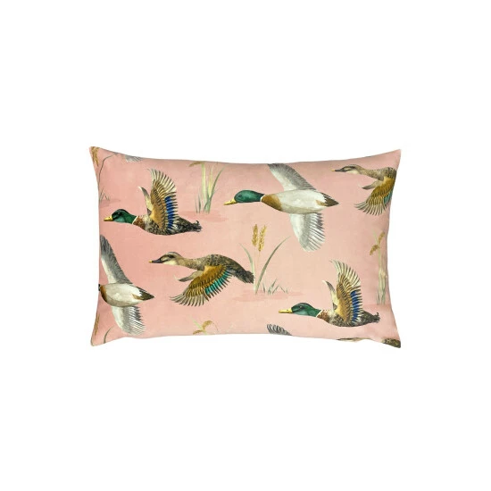 unnamed-file-462.jpg Evans Lichfield Pink Country Duck Cushion -Evans Lichfieldshop unnamed file 462