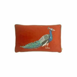 Evans Lichfield Orange Peacock Cushion -Evans Lichfieldshop unnamed file 586